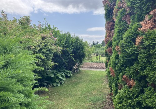 Eladó családi ház Bábolnán, nyugodt környezetben #3