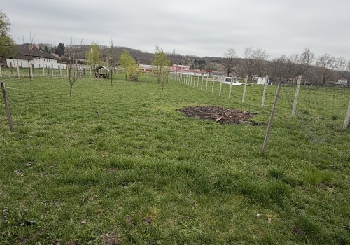 Eladó telek Écsen #3