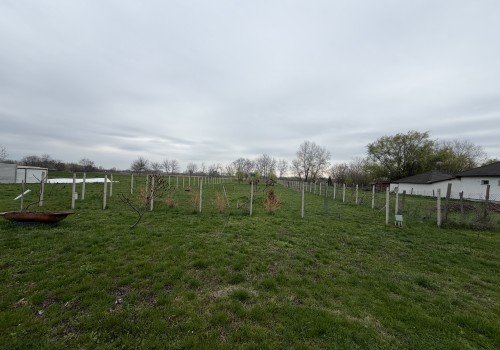 Eladó telek Écsen #4